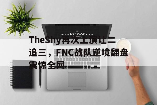 TheShy再次上演让二追三，FNC战队逆境翻盘震惊全网